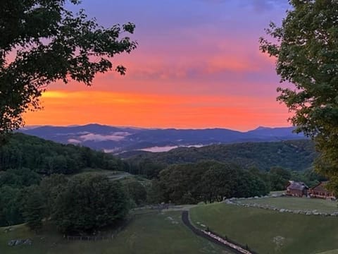 Evergreen at Eagles Nest House in Beech Mountain