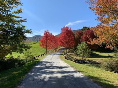 Signature Ridge Lodge House in Watauga