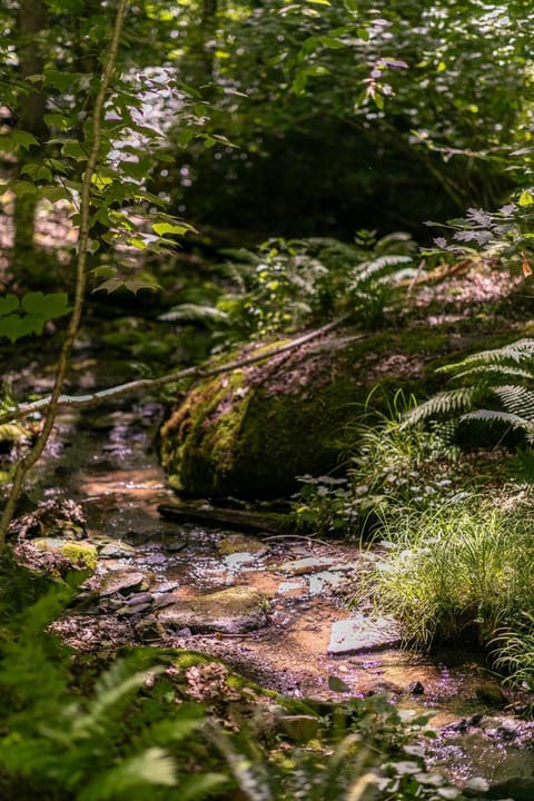 Gait to Paradise House in Brushy Fork