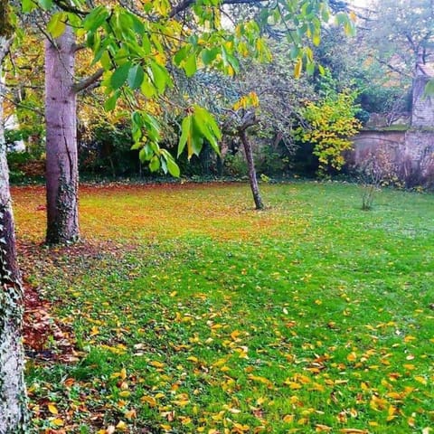 Le Jardin d'Eden Apartment hotel in Château-Thierry