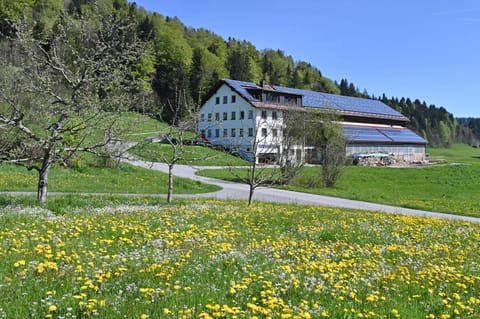 Property building, Spring, Natural landscape