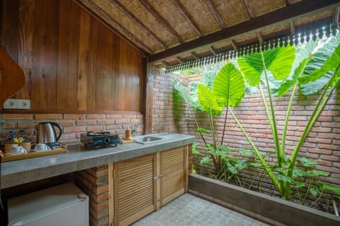 Garden, Kitchen or kitchenette, Garden view