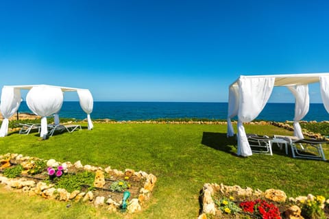 Day, Natural landscape, Garden, Sea view, sunbed