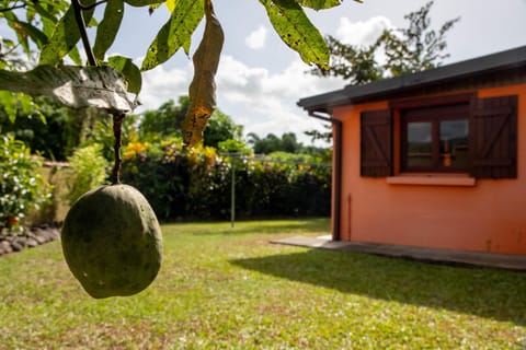 Garden, Garden view