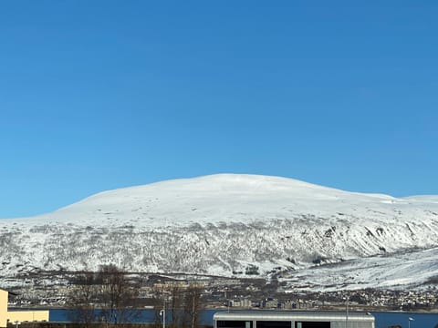 Polar Luxury House - With Sauna and Free parking Villa in Tromso