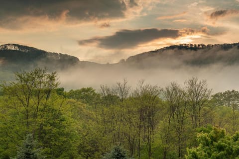 Nights In Camelot House in Watauga