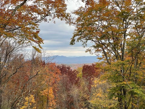 The Guardian Bear Lodge at Eagles Nest House in Beech Mountain