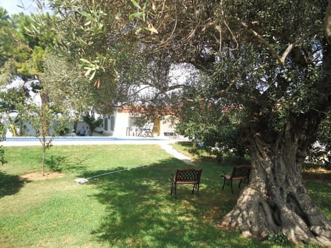 Patio, Garden, Garden view