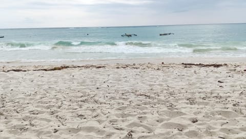 Elna's Haven Diani Palms - 5min walk to the beach, serene and culinary services Condo in Diani Beach