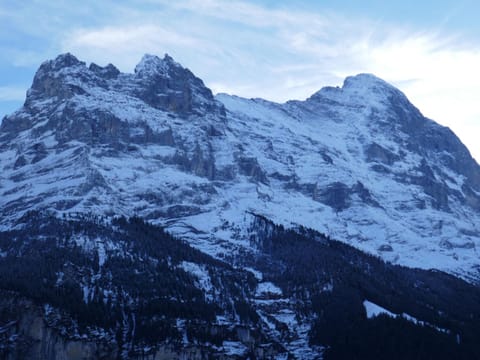 Apartment Chalet Wyssefluh by Interhome Apartment in Grindelwald