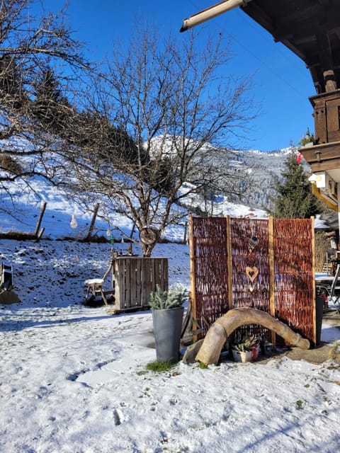 Winter, Garden