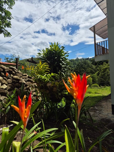 Garden, Garden view