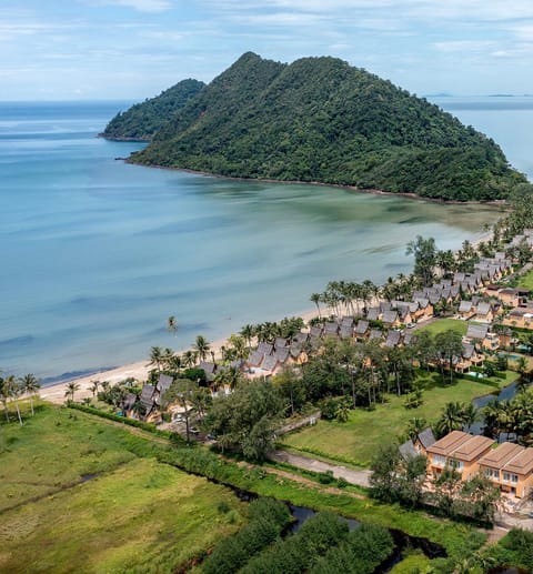 Natural landscape, Bird's eye view, Beach