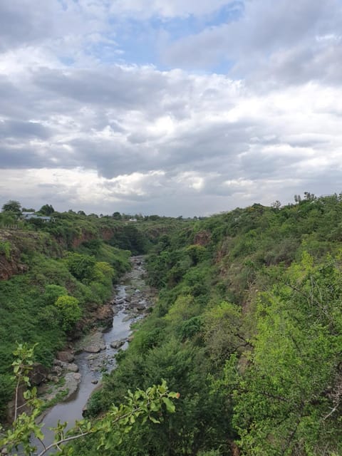 Natural landscape, River view