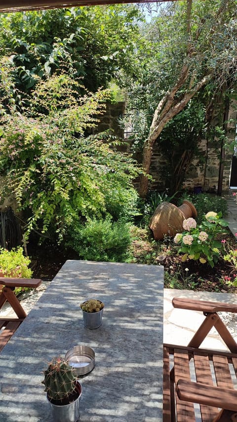 Patio, Garden, Garden view