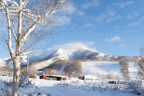 Nearby landmark, Natural landscape, Winter, Skiing, Skiing, Landmark view, Mountain view