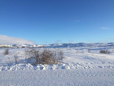 Natural landscape, Winter