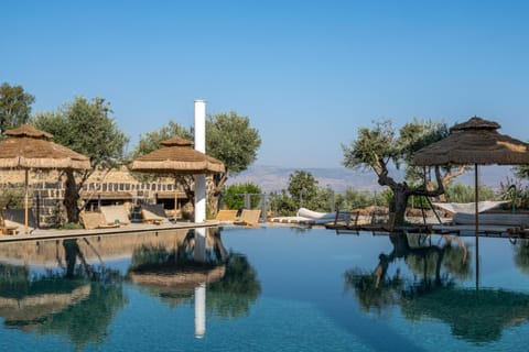 Day, Natural landscape, Pool view, Swimming pool, sunbed