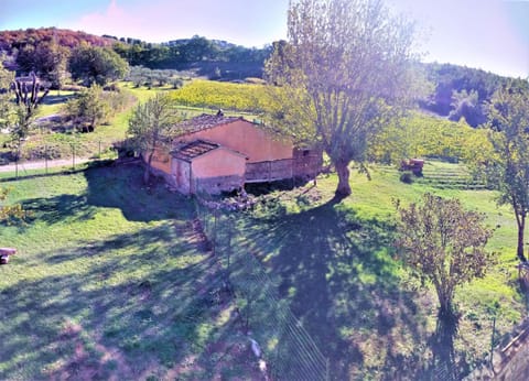 Large Farmhouse in Umbria -Swimming Pool -Cinema Room -Transparent Geodesic Dome Farm Stay in Umbria