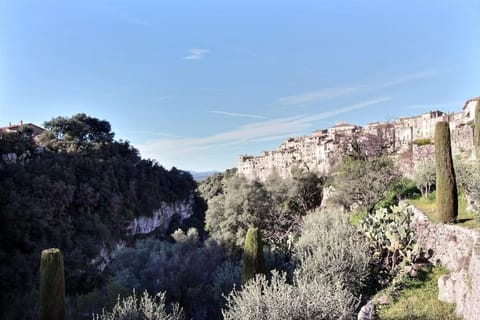 Bright apartment close to the village Apartment in Vence