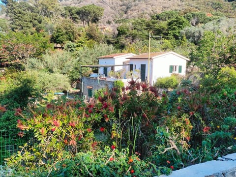 Natural landscape