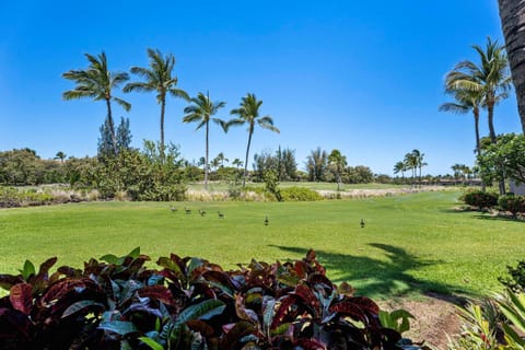 Colony Villas at Waikoloa Beach Resort #1305 Villa in Puako