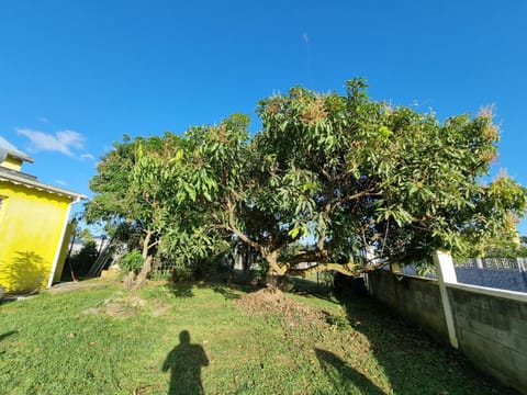 Villa Caraïbes House in Guadeloupe