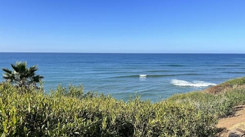 Ocean View, Luxury 2BR 2BA, Private Rooftop Patio Wohnung in Encinitas