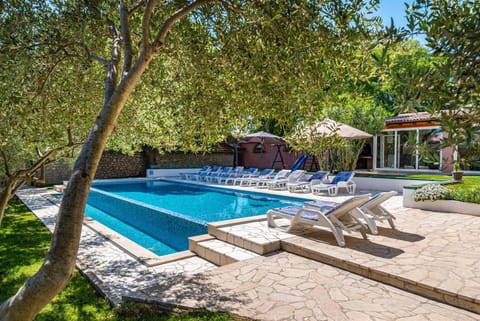 MY DALMATIA - Holiday home Blanka with private infinity pool House in Biograd na Moru