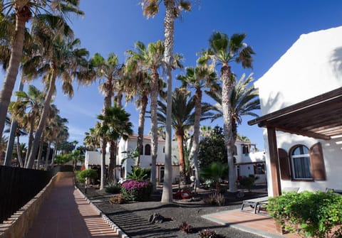 Barceló Fuerteventura Castillo Hotel in Castillo Caleta de Fuste