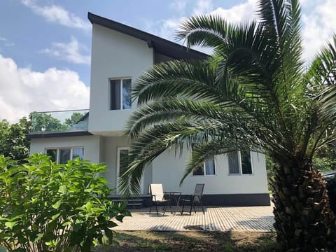 Property building, Day, Garden view