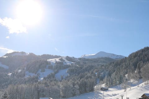 Day, Natural landscape, Winter, Mountain view