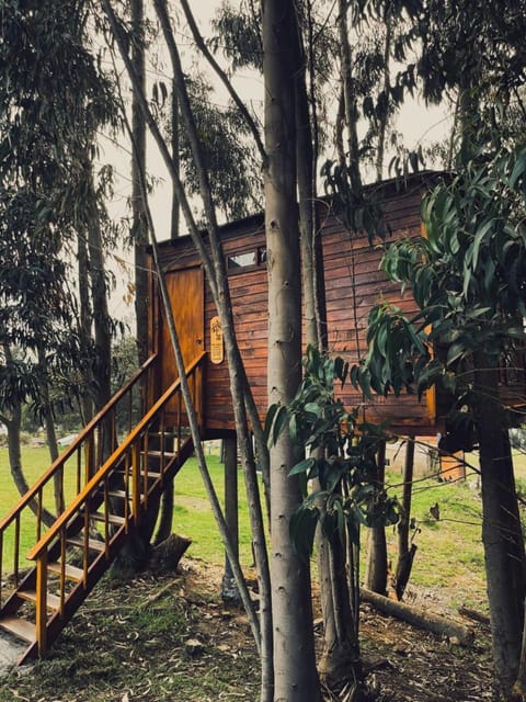 Casa en el Árbol Guatavita Campground/ 
RV Resort in Guatavita