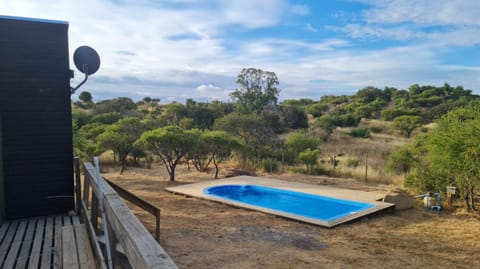 Day, Natural landscape, Garden, Pool view, Swimming pool