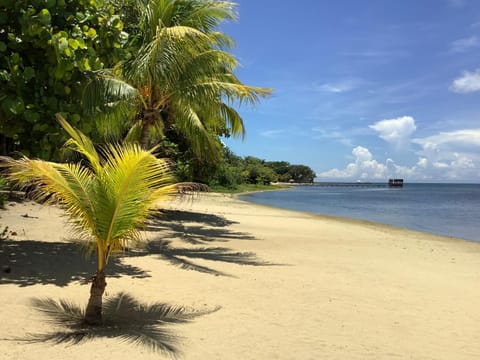 Natural landscape, Beach, Sea view