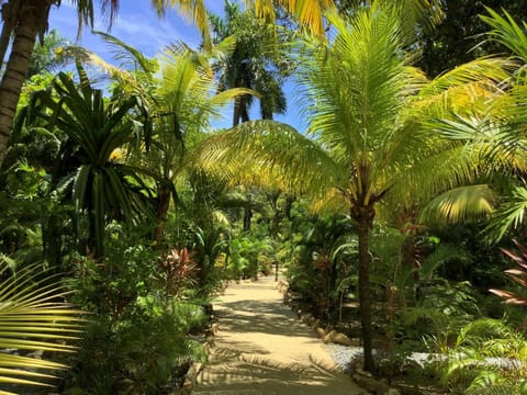 Tropical Treehouse Condo in Bay Islands Department