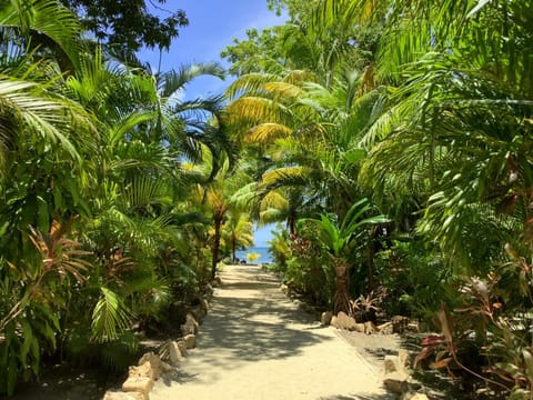 Tropical Treehouse Condo in Bay Islands Department