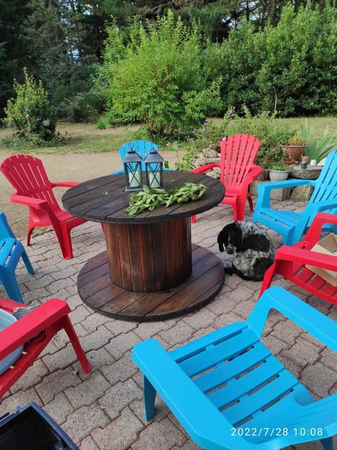 Patio, Day, Garden, Garden view