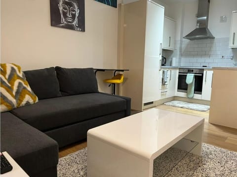 Modern and Stylish 1bed flat Copropriété in Barking