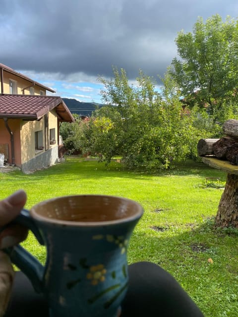 Day, Garden view