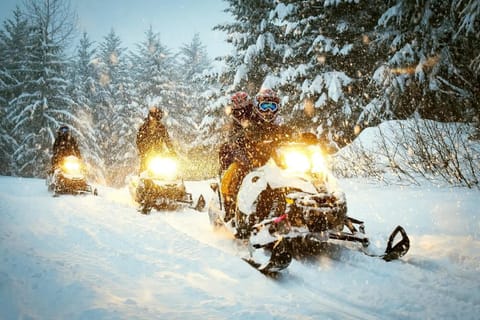 Lake Superior Cabin with Fireplace Snowmobile Trails Maison in Whitefish Township