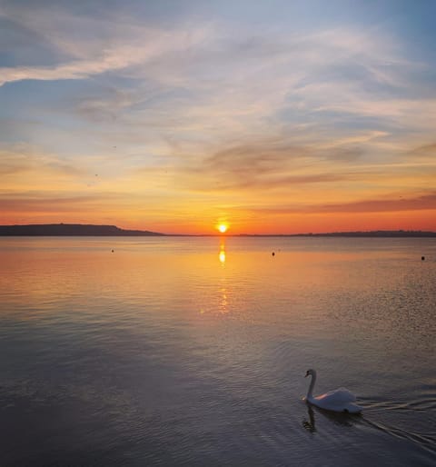 Natural landscape, Sea view, Sunset