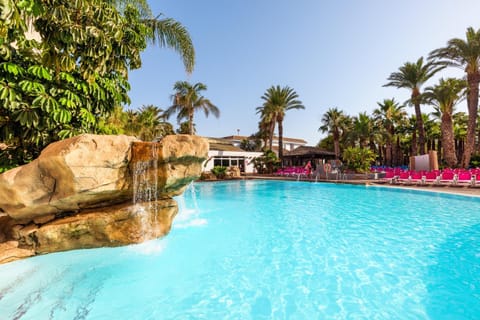 Garden, Garden view, Pool view, Swimming pool, sunbed