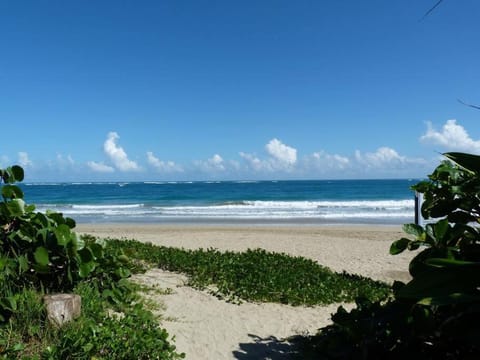 Charming ocean front 3 bd villa Villa in Cabarete