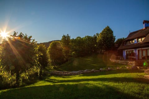 Casele cu Stuf B&B Haus Ulrike Apartment in Cluj County