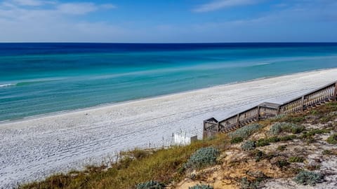 Coastal Living House in Seagrove Beach