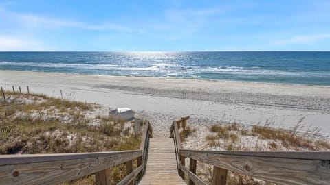 Sea Turtle Pass House in South Walton County