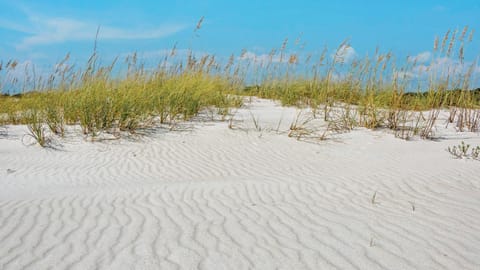 Blue Mar House in Inlet Beach