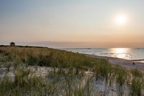 Natural landscape, Beach, Sunset