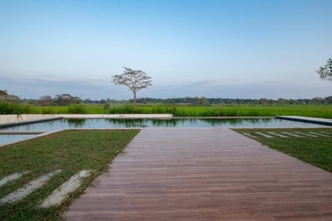 Swimming pool